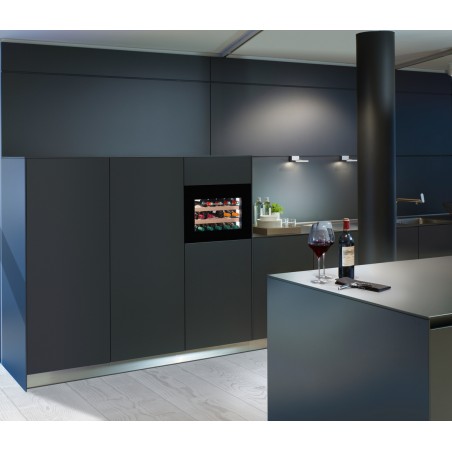 Liebherr WKEgb 582-26, Einbau Weinklimaschrank