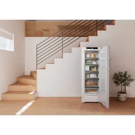 Liebherr FNd 505i-22, Gefrierschrank