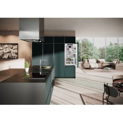 Liebherr IRBbi 4170-22, Einbaukühlschrank