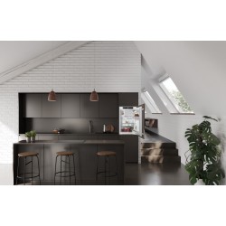 Liebherr IRSe 3901-22, Einbaukühlschrank