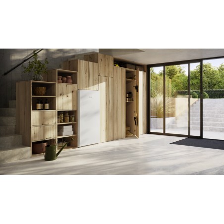 Liebherr FNa 6635-20, Gefrierschrank