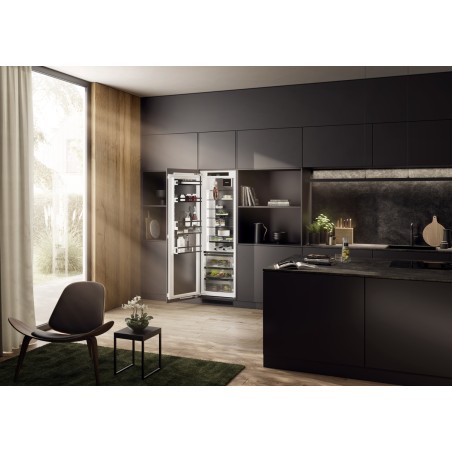 Liebherr IRBbsci 5170, Kühlschrank