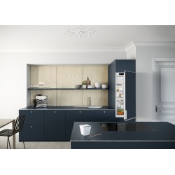 Liebherr DRe 4101-22, Kühlschrank