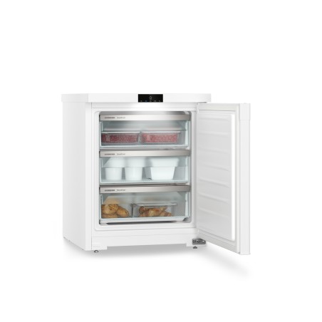 Liebherr Fe 1003-20, Gefrierschrank