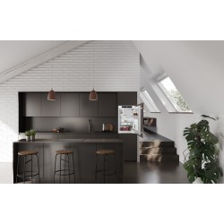 Liebherr IRSe 3901-22, Kühlschrank